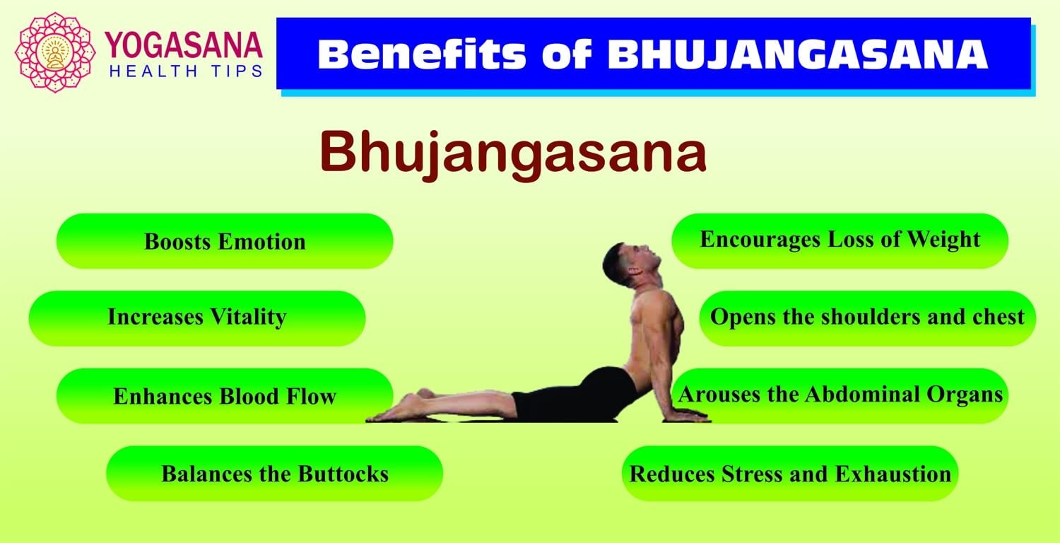 Bhujangasana Benefits : 5 Surprising Body tranformation-Can Bhujangasana reduce belly fat ? 11 Bhujangasana Benefits