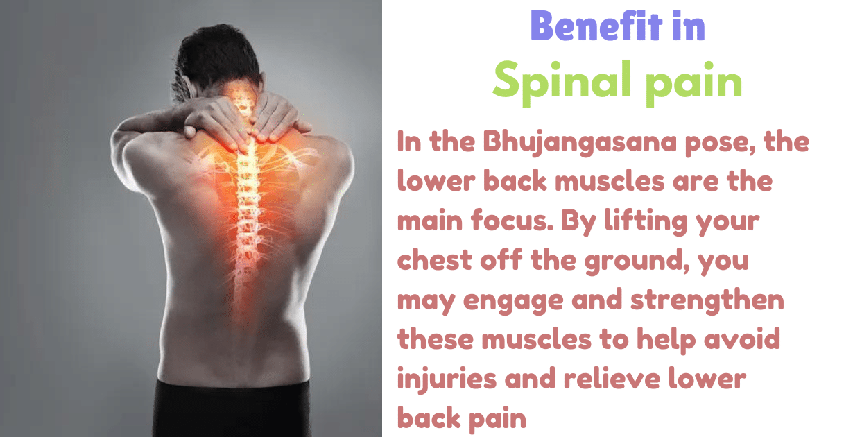 Bhujangasana Benefits : 5 Surprising Body tranformation-Can Bhujangasana reduce belly fat ? 9 Bhujangasana Benefits_As Spinal pain
