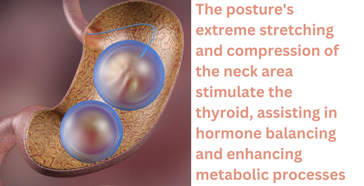 Benefits of chakrasana as metapolism systemm