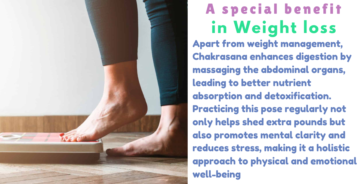 Benefits of chakrasana as weight loss