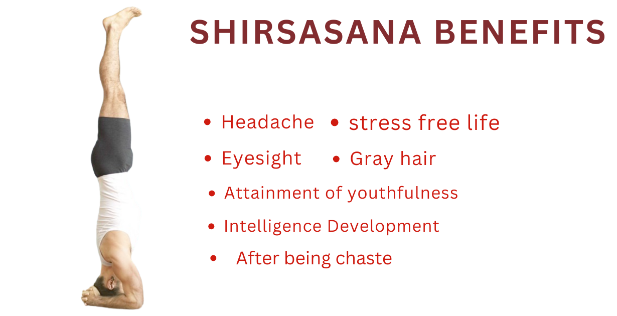 Benefits of shirshasana