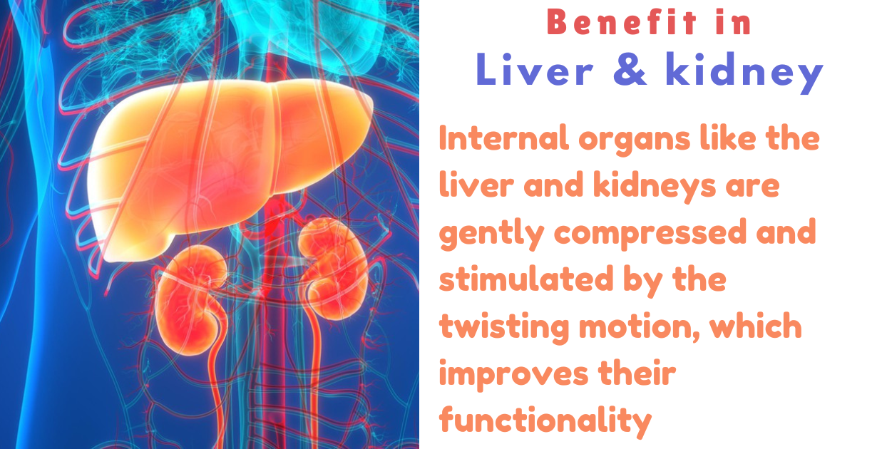 Benefits of vakrasana as Liver & kidney
