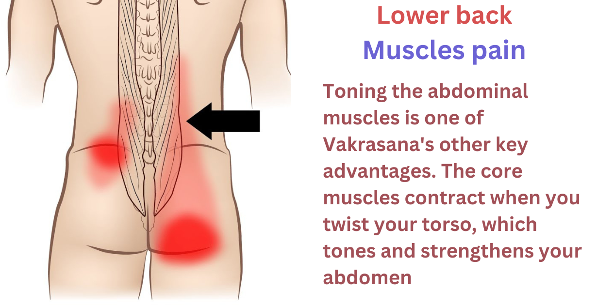 Benefits of vakrasana as Lower back muscles pain
