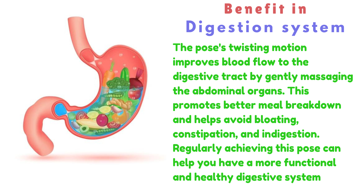 Benefits of vakrasana as digestion system
