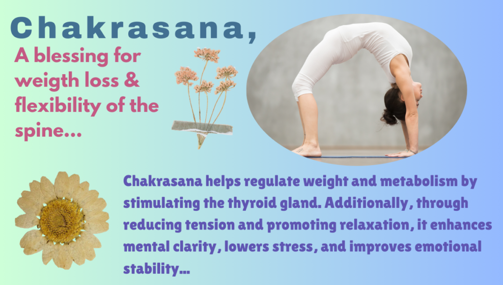 Chakrasana's Benefits