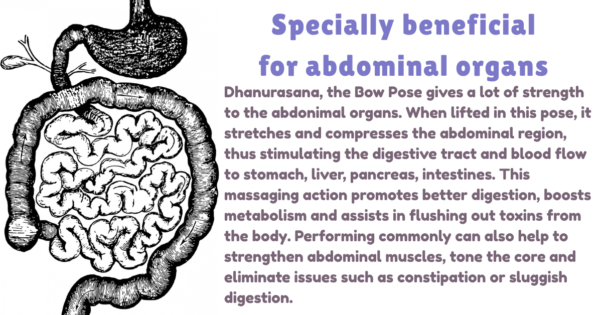 Dhanurasana Benefits : 5 Deep effects-Which disease is cured by Dhanurasana? 9 Dhanurasana Benefits_as special benefits for abdominal organs