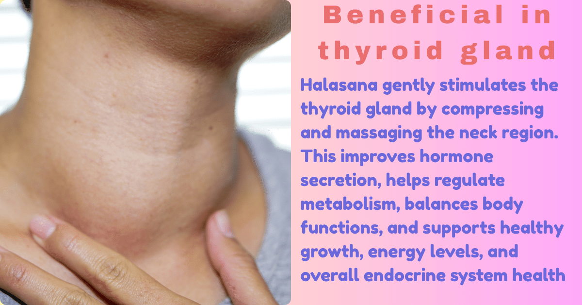 Halasana Benefits : 1 Amazing Fruitful Boon-What are the 5 main benefits of yoga? 10 Halasana Benefits_Beneficial in thyroid gland