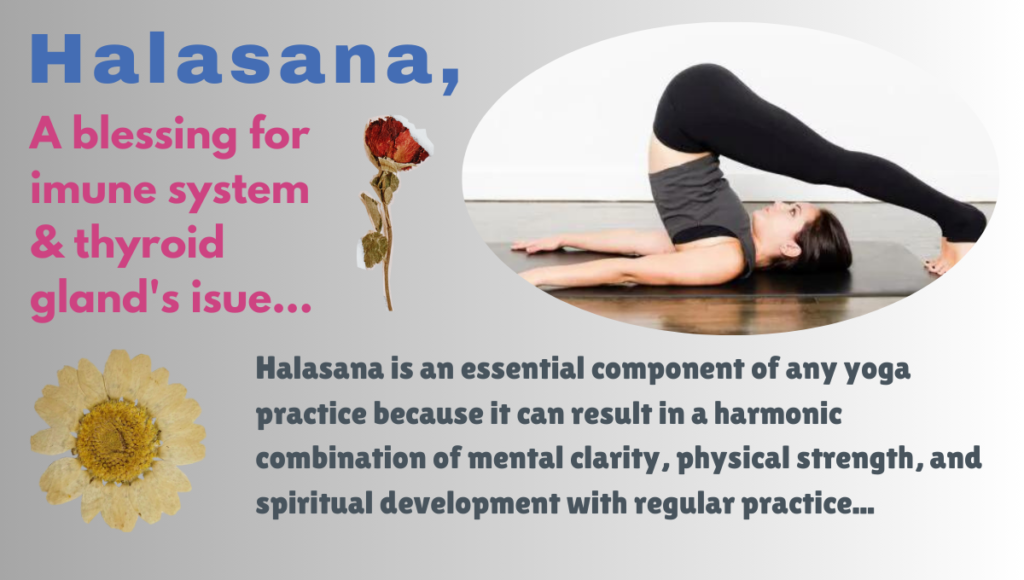 Halasana's Benefits