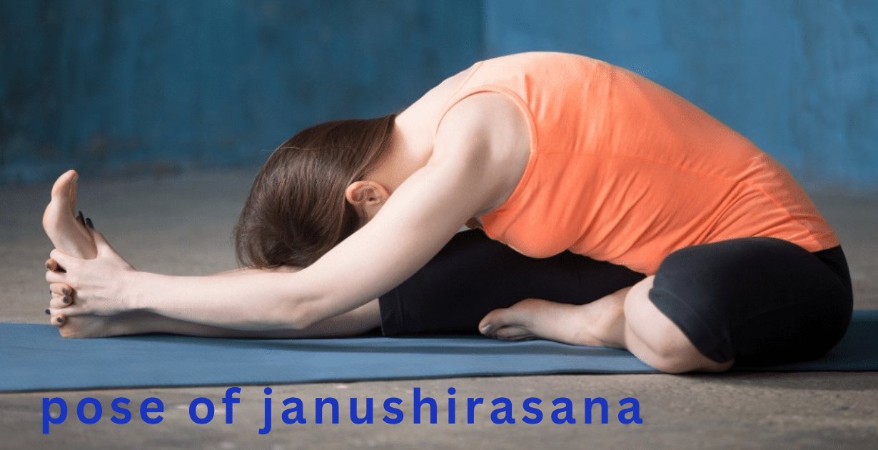 Janushirasana Benefits : 2 Great aim-What are the spiritual benefits of Janu Sirsasana? 7 Janushirasana Benefits_As a pose