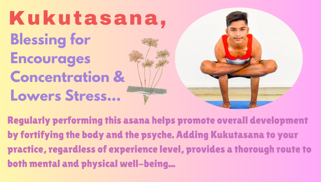Kukutasana's Benefits