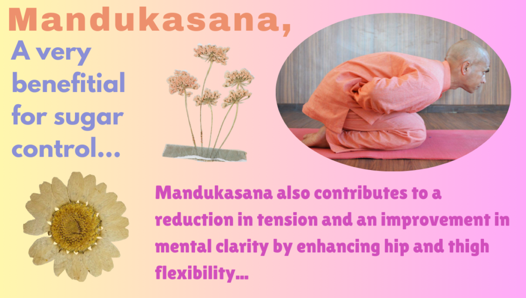 Mandukasana's Benefits