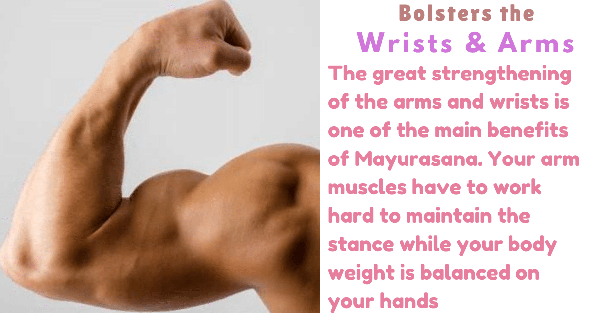 Mayurasana Benefits : 3 Amazing Effecte for Body Toxins 11 Mayurasana Benefits_As bolsters arms & wrists