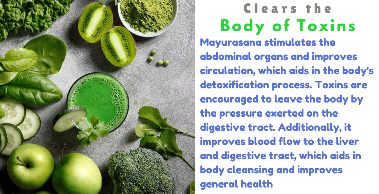 Mayurasana Benefits : 3 Amazing Effecte for Body Toxins 9 Mayurasana Benefits_As clear the toxins