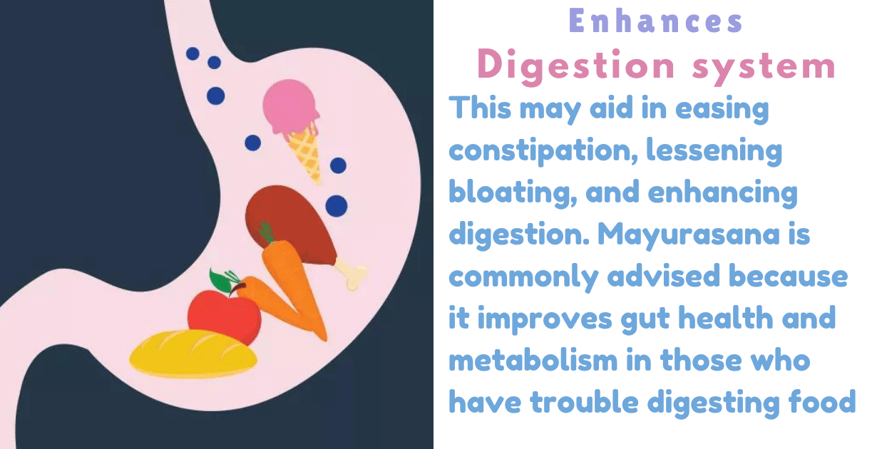 Mayurasana Benefits : 3 Amazing Effecte for Body Toxins 10 Mayurasana Benefits_as enhance digestion system