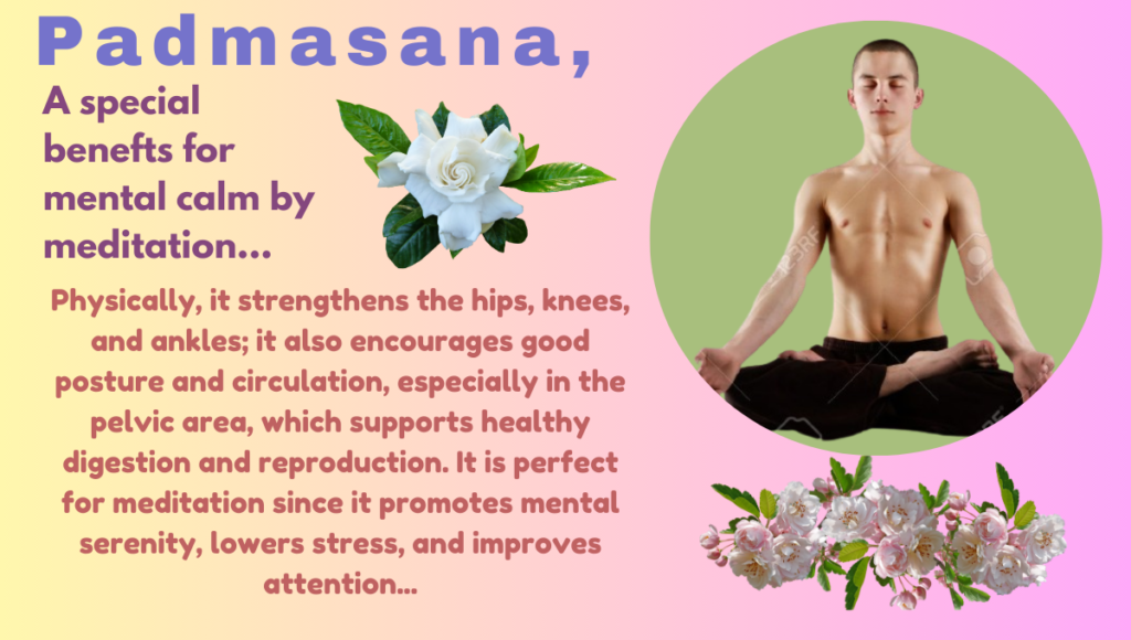 Padmasana's Benefits