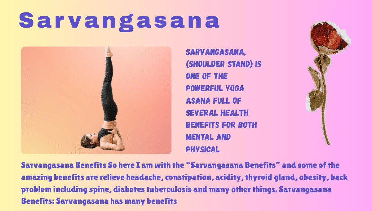 Sarvangasana Benefits : 1 Wonderful Boon for Thyriod Gland Isue 8 Sarvangasana Benefits_sarvangasana__