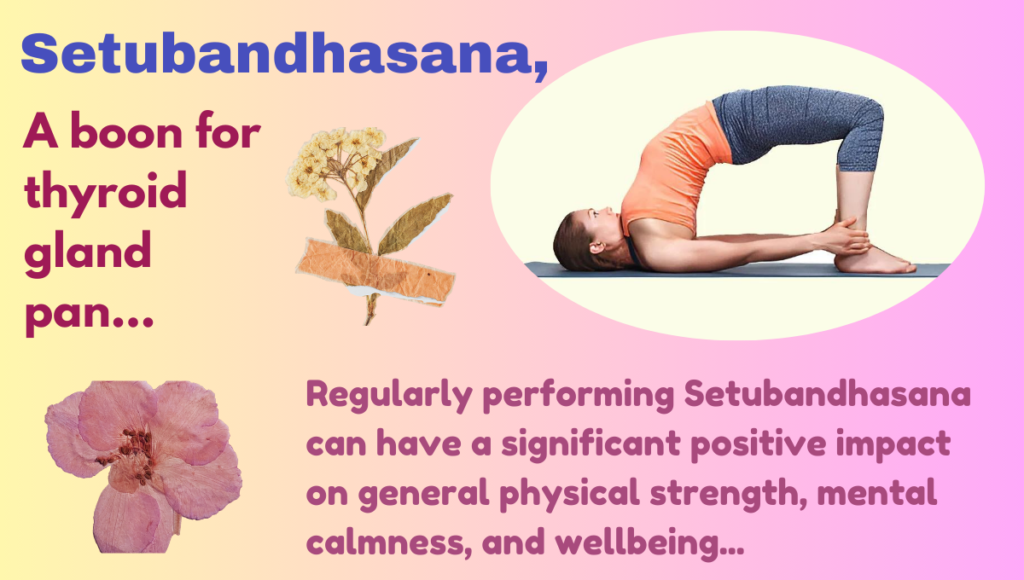Setubandhasana Benefits