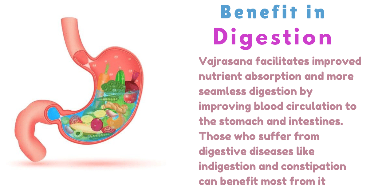 Vajrasana Benefits : 1 amazing Boon for Digestive health 10 Vajrasana Benefits_in Digestion