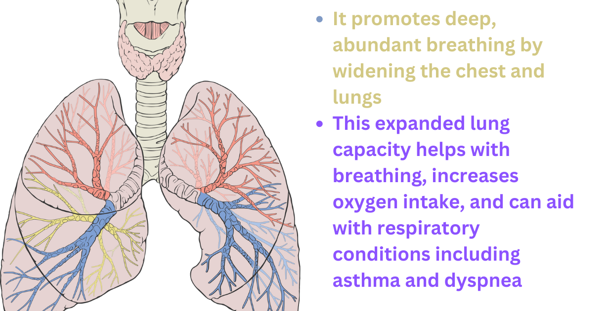 Dhanurasana's Benefits as lungs problem