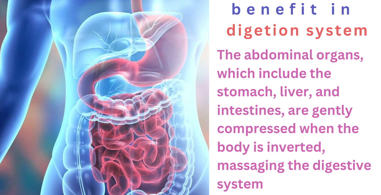 benefits of halasana as digestive health