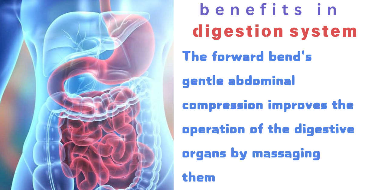 benefits of janushirasan as digestive health