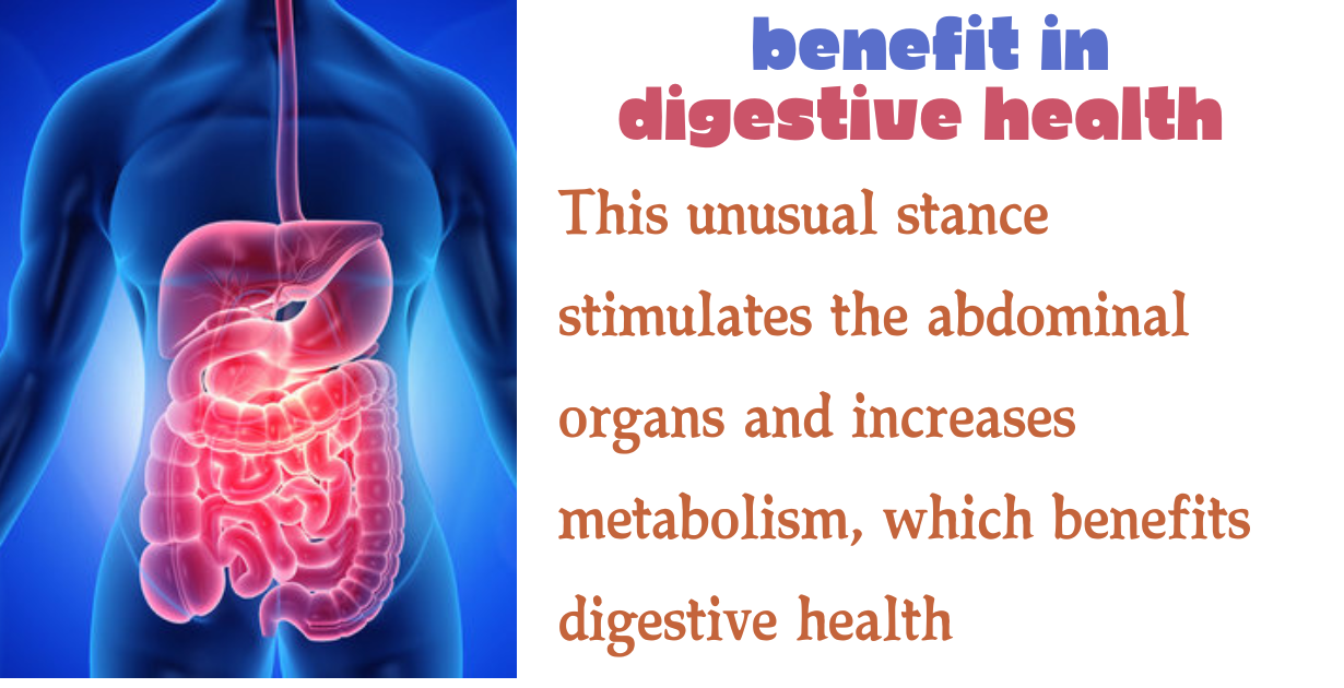 benefits of kukutasana as digestive health