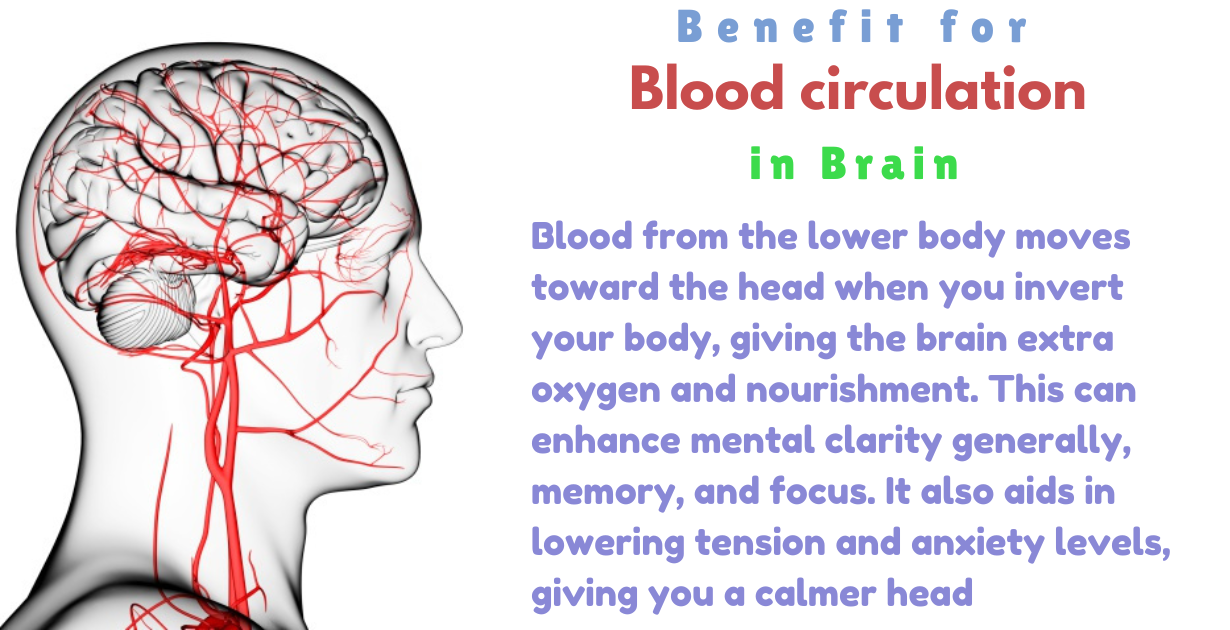 benefits of shirshasana as blood flow in brain