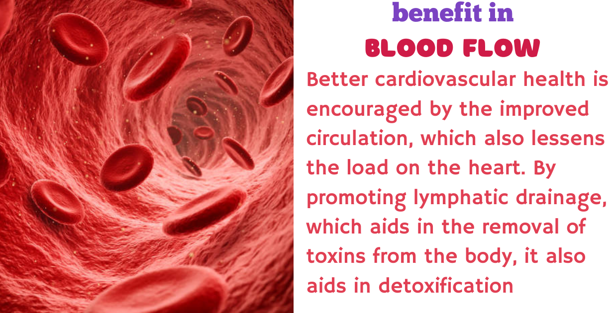 pbenefits of sarvangasana as blood flow