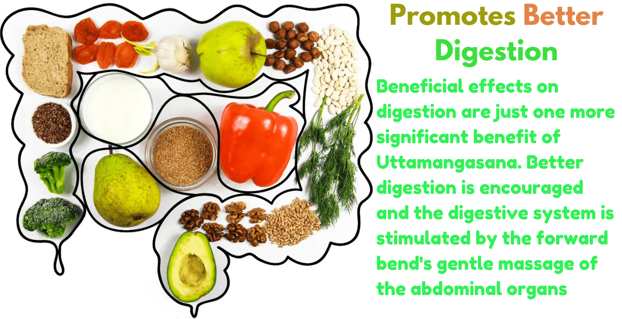 Benefits of Uttamangasana_As Better digestion system