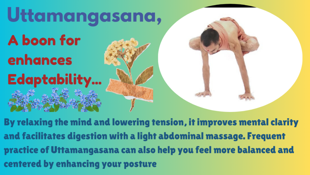 Uttamangasana Benefits