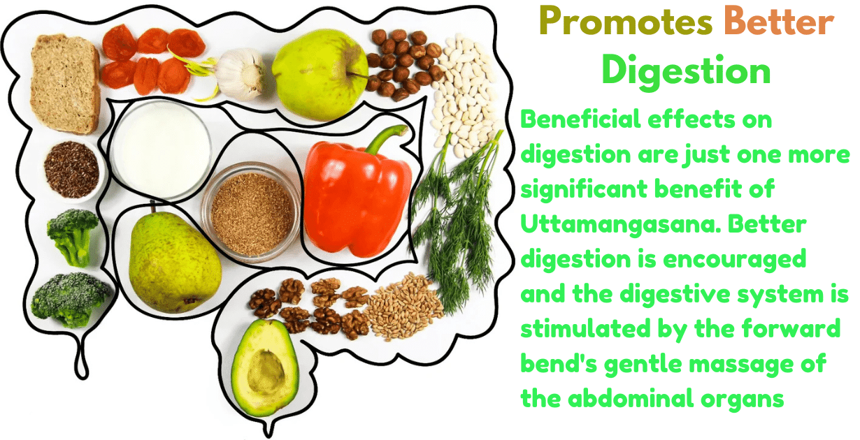 Uttamangasana Benefits : 1 amazing Boon for mental health 10 Uttamangasana Benefits_As Better digestion system