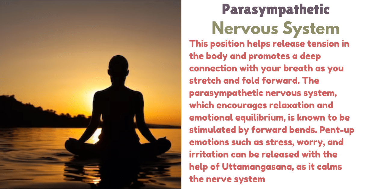 Uttamangasana Benefits : 1 amazing Boon for mental health 11 Uttamangasana Benefits_As a Nurvouse system