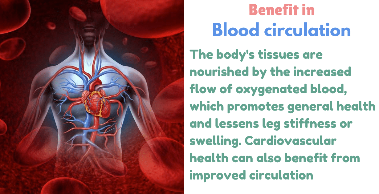 Badh Padmasana Benefits : 1 Amazing Boon for Inner Peace 10 Badh Padmasana Benefits__As a Blood circulation__