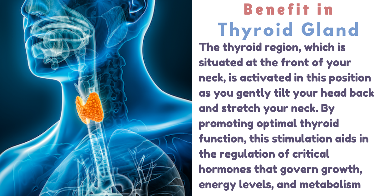 Benefits of Matsyasana _As thyroid gland