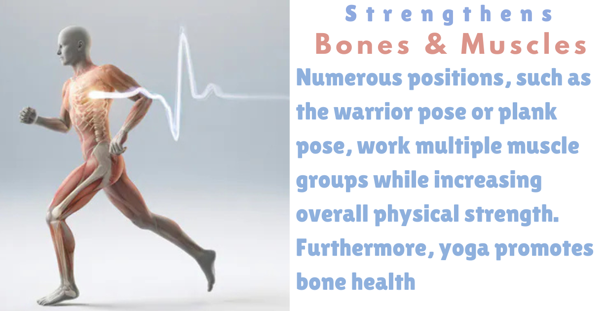 Benefits of Yogasana_As strong muscles