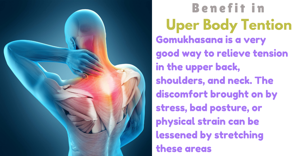 Gomukhasana Benefits : 1 Amazing Boon for improve posture Chest 10 Gomukhasana Benefits_As a Uper body tention