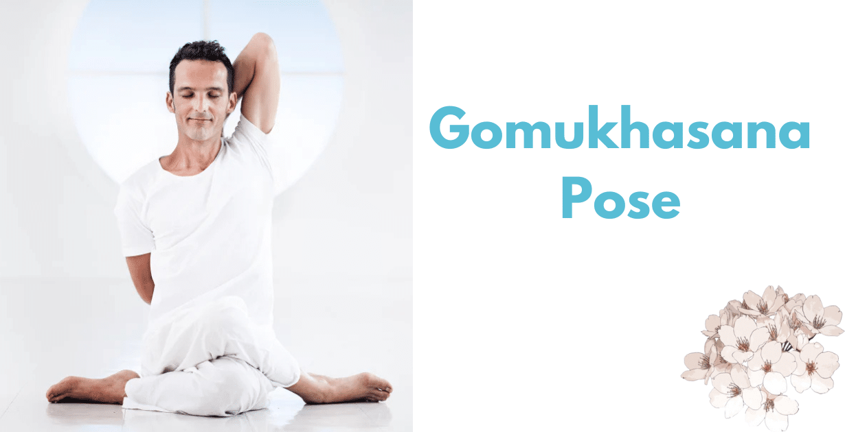Gomukhasana Benefits : 1 Amazing Boon for improve posture Chest 8 Gomukhasana Benefits_As a pose