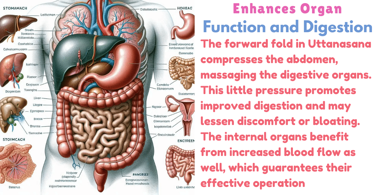 Uttanasana Benefits : 2 Amazing deep effects for Enhances Digestion strength 11 Uttanasana Benefits_As Digestion