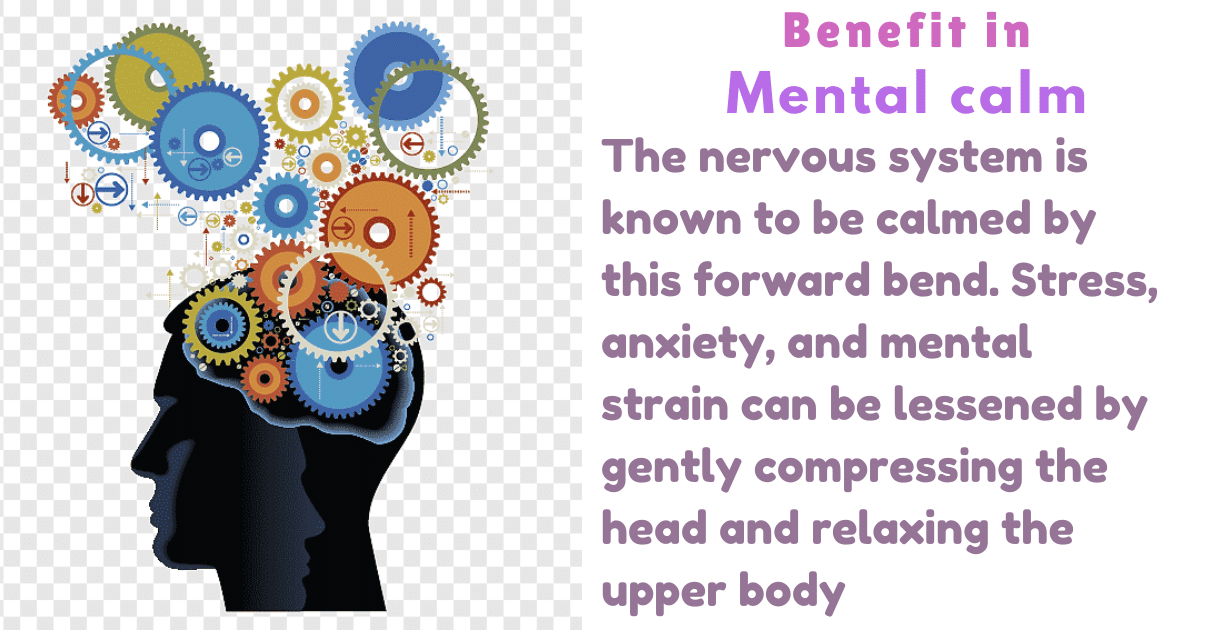 Uttanasana Benefits : 2 Amazing deep effects for Enhances Digestion strength 10 Uttanasana Benefits_As a mental calm