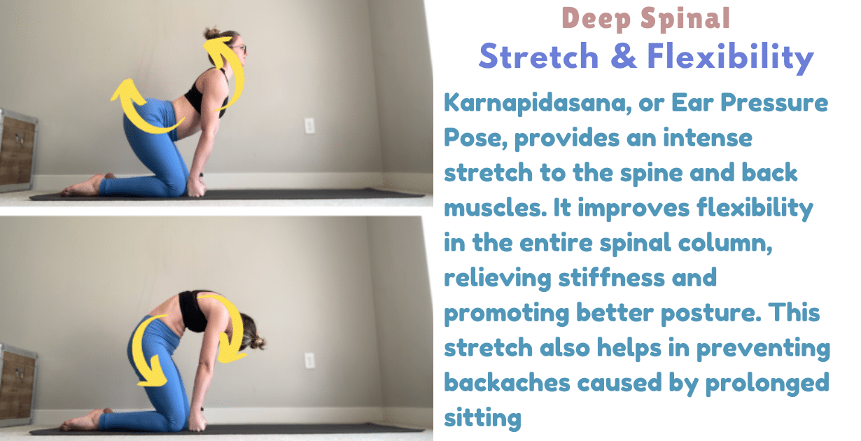 Karnapidasana benefits : 2 Interesting Benefits for Your Ears and Brain 10 Karnapidasana benefits_As a spinal flexibility