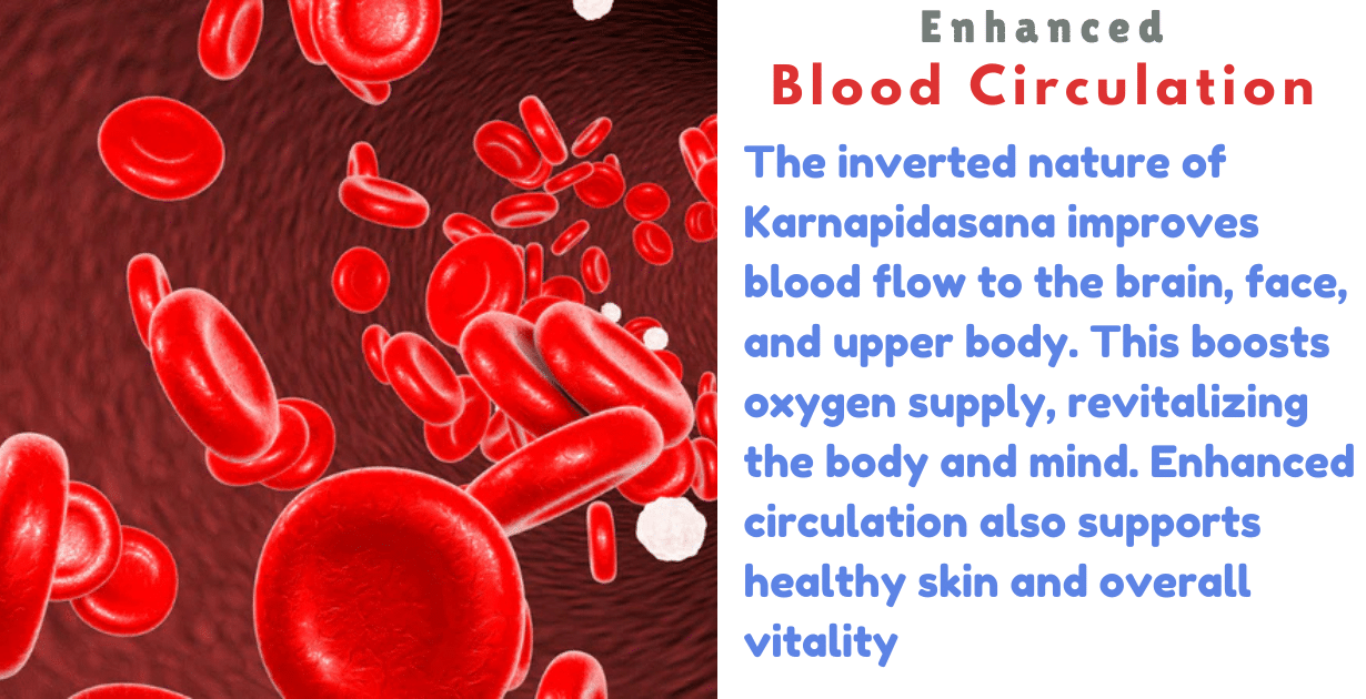 Karnapidasana benefits : 2 Interesting Benefits for Your Ears and Brain 12 Karnapidasana benefits_As a improves blood circulation