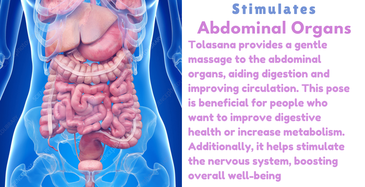 Tolasana benefits : 2 incredible changes occur in the upper body 9 Tolasana benefits_As a stimulates abdominal organs