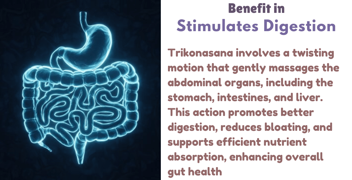 Trikonasana benefits : Trikonasana is the best 1 treatment for back pain 10 Trikonasana benefits_Improves Digestion system