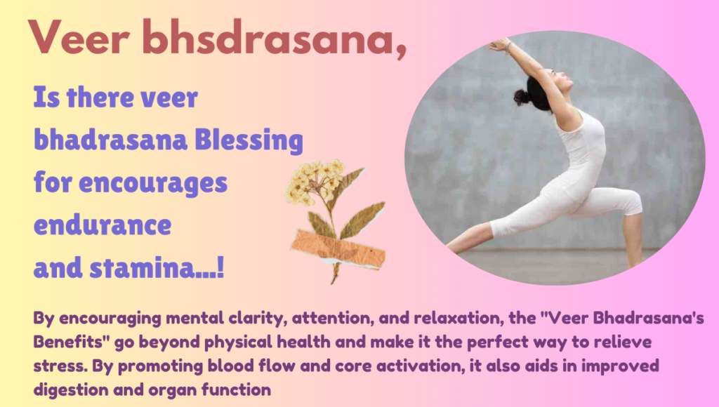 Veer Bhadrasana's Benefits