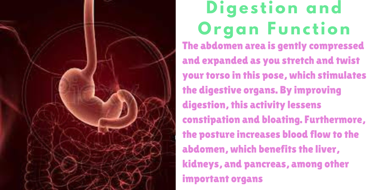 Veer Bhadrasana's Benefits_As Digestion system