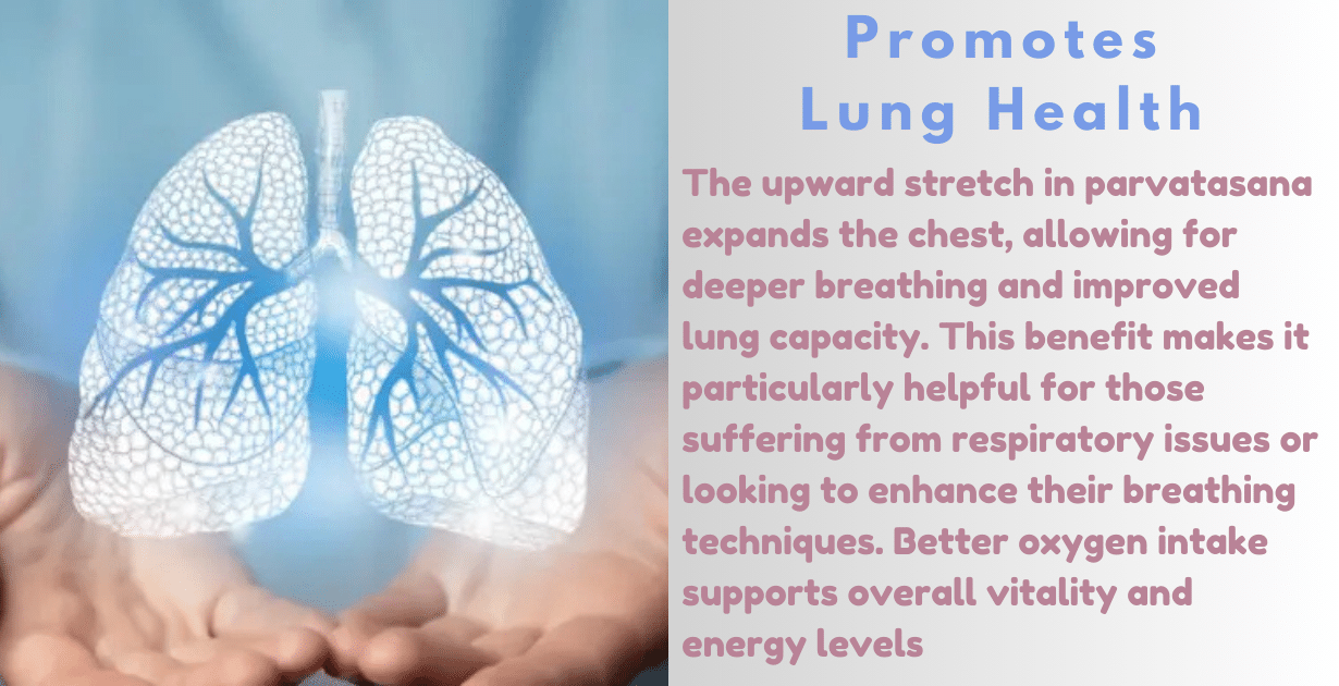 Parvatasana benefits : 2 deep effects for spinal health 9 Parvatasana benefits_lungs problem
