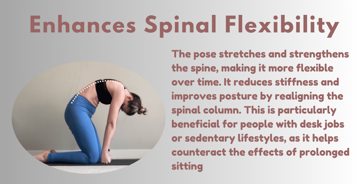 Yoga Mudrasana Benefits : 1 Special boon for women 9 Yoga mudrasan benefits_as a spinal strength