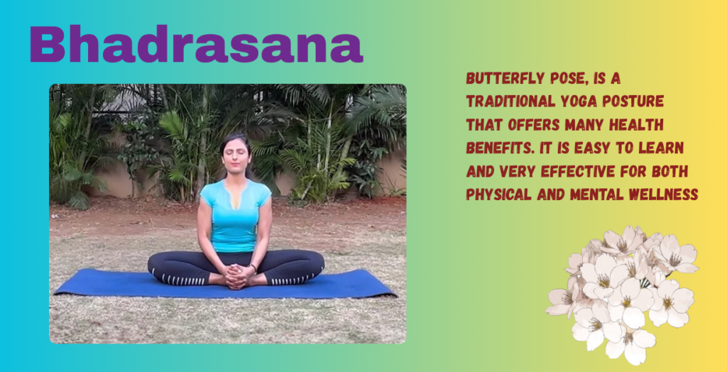 Bhadrasana's benefits