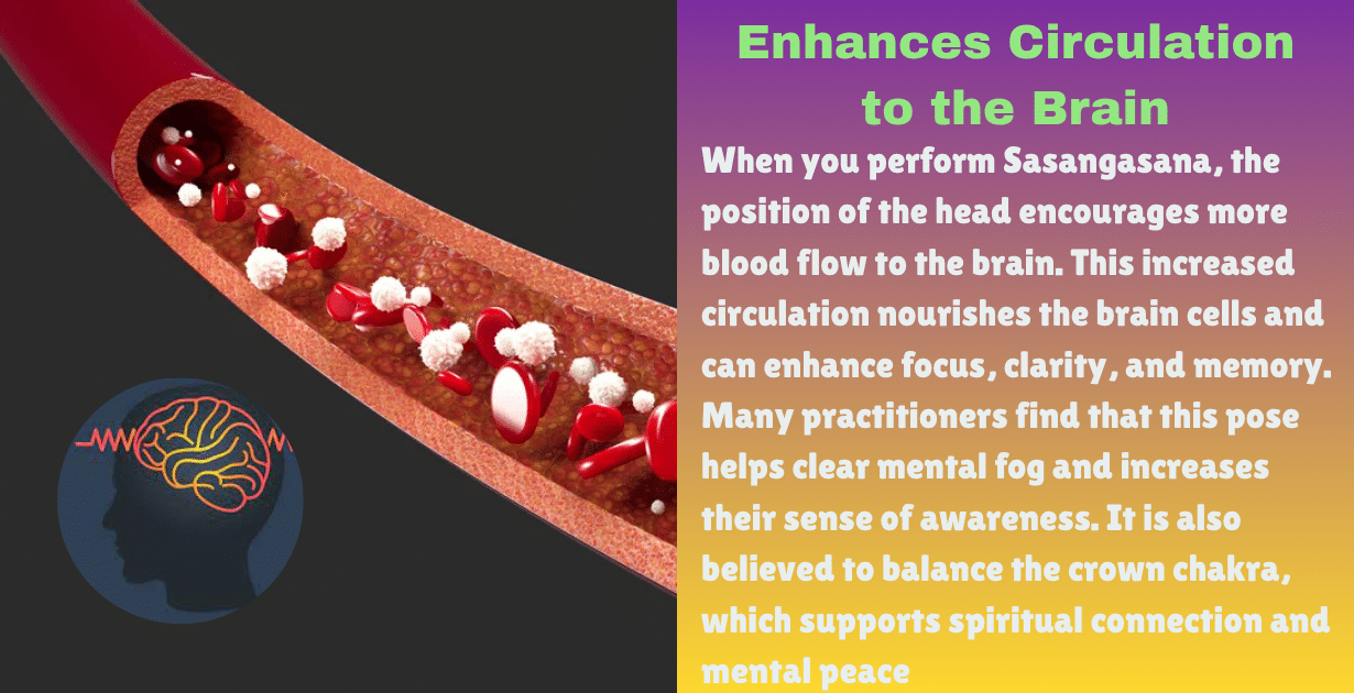 Sasangasana benefits : 5 main kay benefits-How Sasangasana improves spine flexibility and mental calmness 8 Sasangasana’s benefits_blood circulation to brain