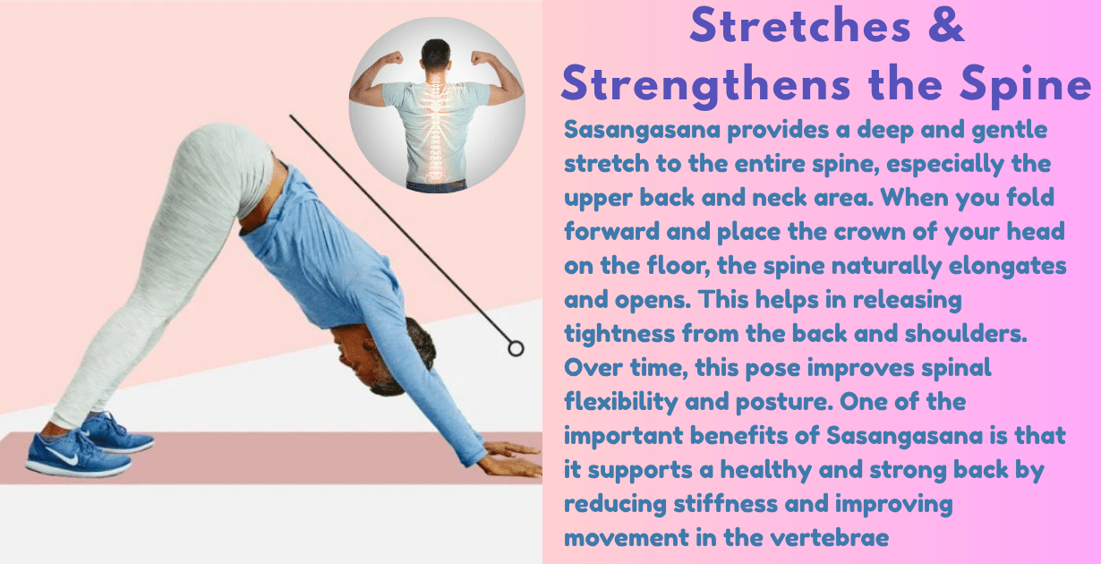 Sasangasana benefits : 5 main kay benefits-How Sasangasana improves spine flexibility and mental calmness 9 Sasangasana’s benefits_spinal health